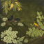 Vente par "Artcurial SVV" du 26/05/2015 - Merles d'Afrique. C 1940. (lot n°70)
